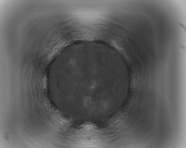 X0000100380689200806201651