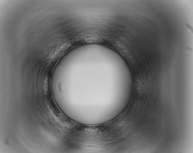 X0000100380690200806201651