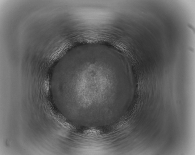 X0000100380691200806201651