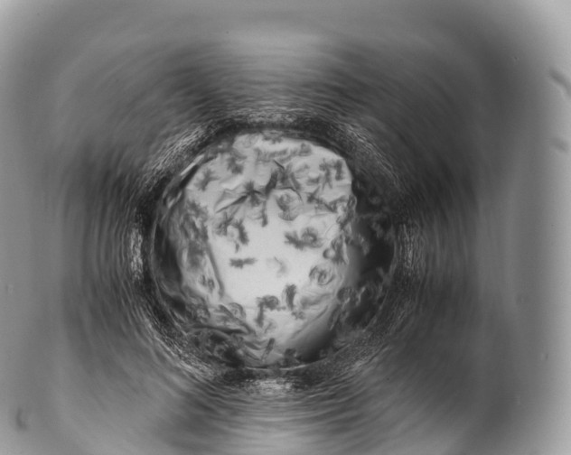 X0000100380692200806201651