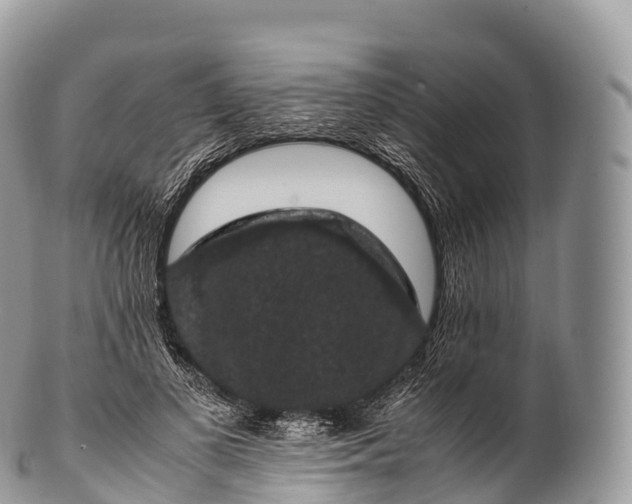 X0000100380693200806201651