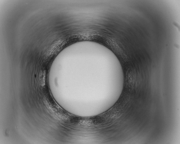 X0000100380694200806201651