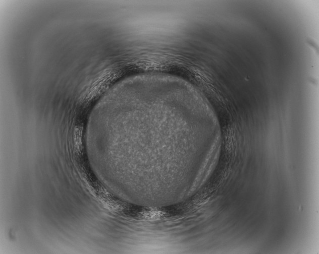 X0000100380695200806201651