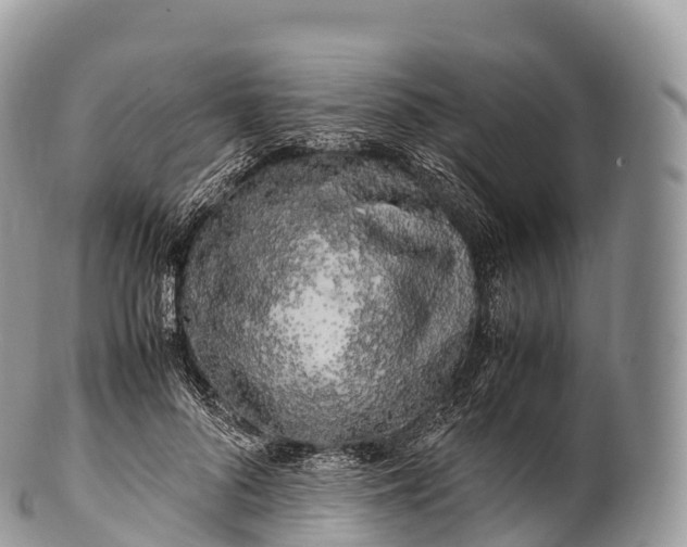 X0000100380696200806201651