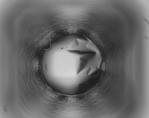 X0000100380697200806201650