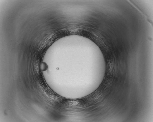 X0000100380698200806201650