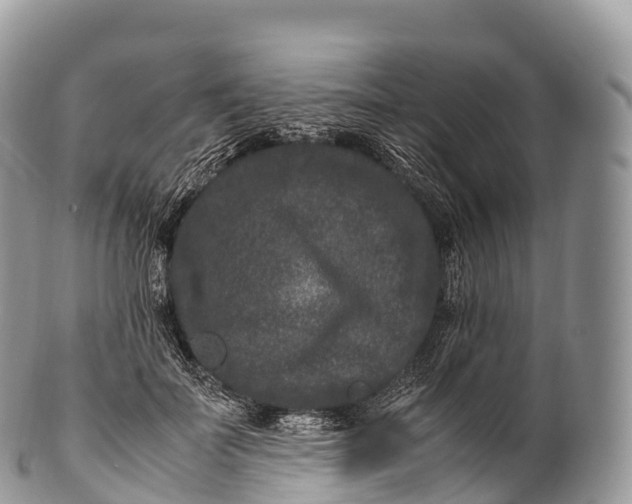 X0000100380699200806201650