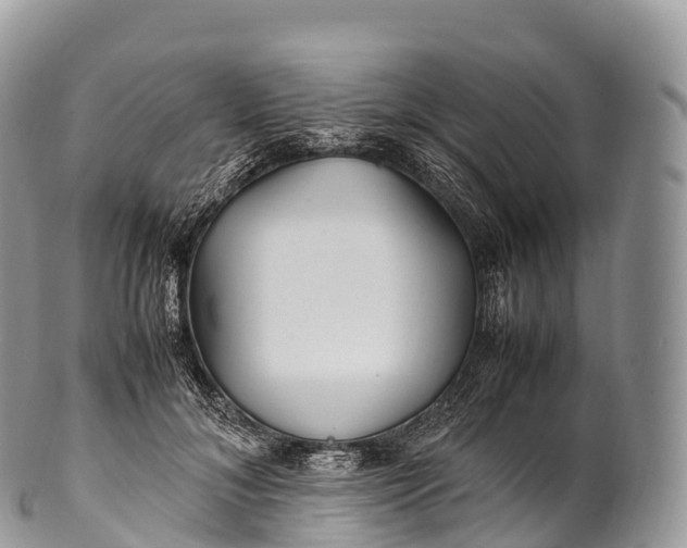 X0000100380700200806201650