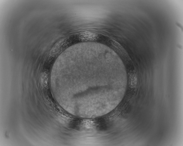X0000100380701200806201650