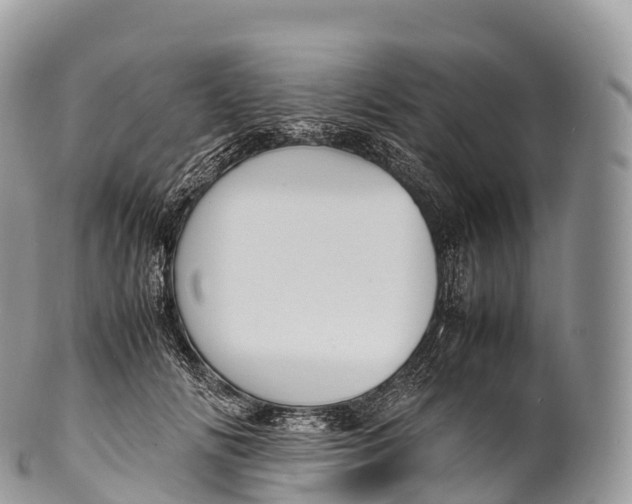 X0000100380702200806201650