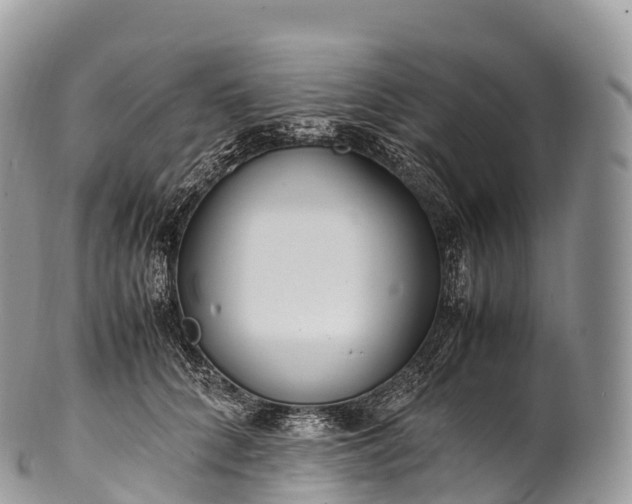 X0000100380704200806201650