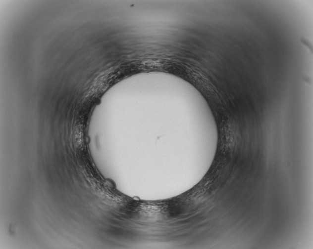 X0000100380706200806201650