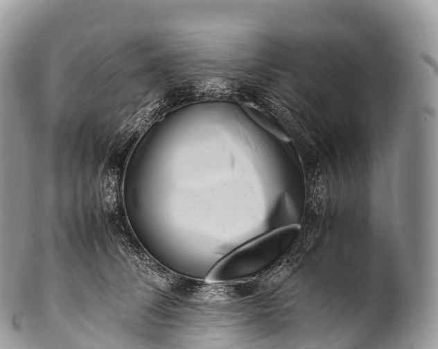 X0000100380708200806201650