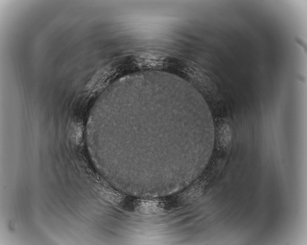 X0000100380709200806201650