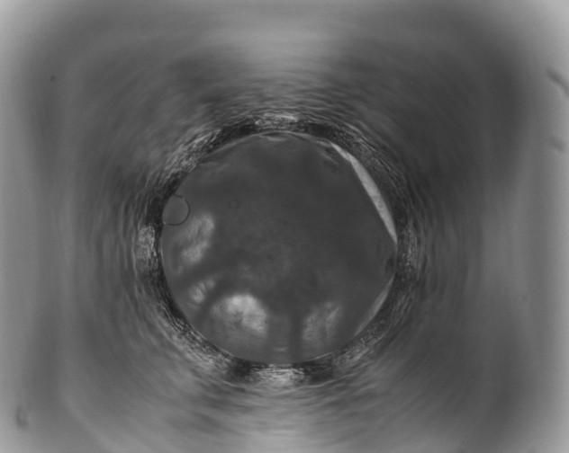 X0000100380711200806201650