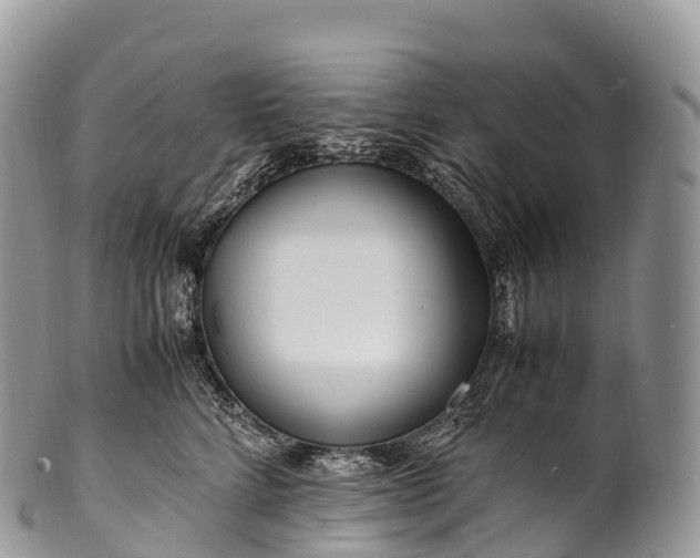X0000100380712200806201650