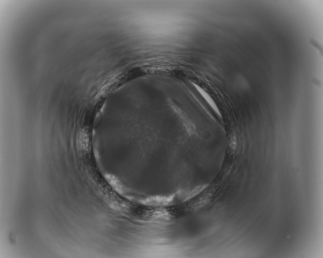 X0000100380715200806201650