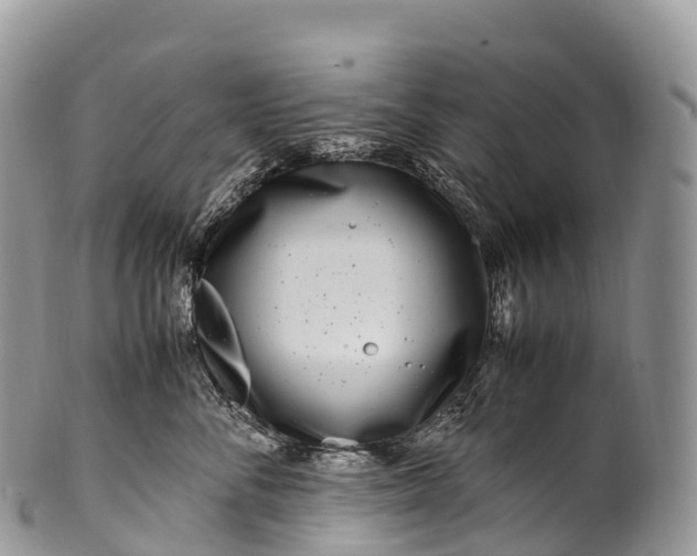 X0000100380716200806201650