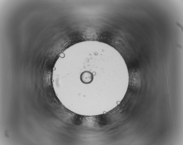 X0000100380717200806201650
