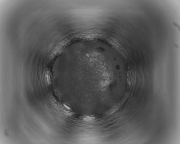 X0000100380718200806201650