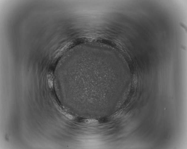 X0000100380719200806201650