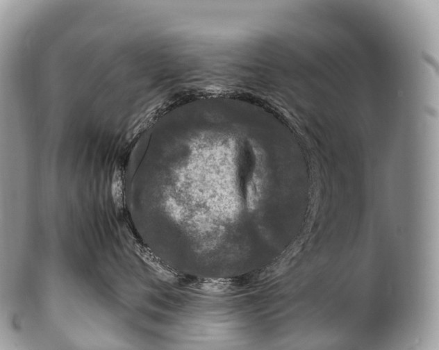 X0000100380720200806201650