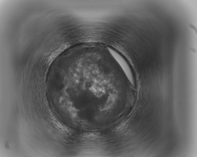 X0000100380721200806201649