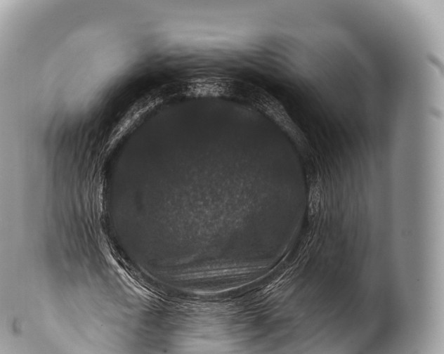 X0000100380722200806201650