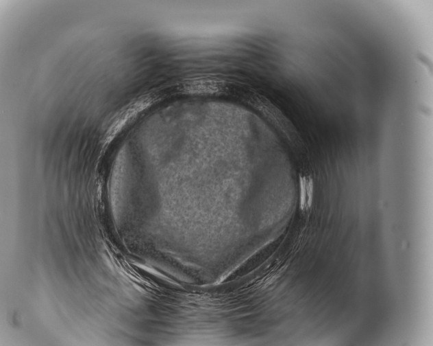 X0000100380723200806201650