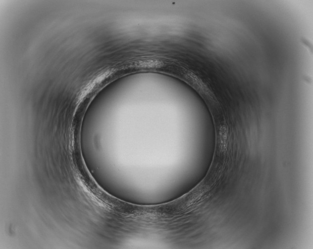 X0000100380726200806201650