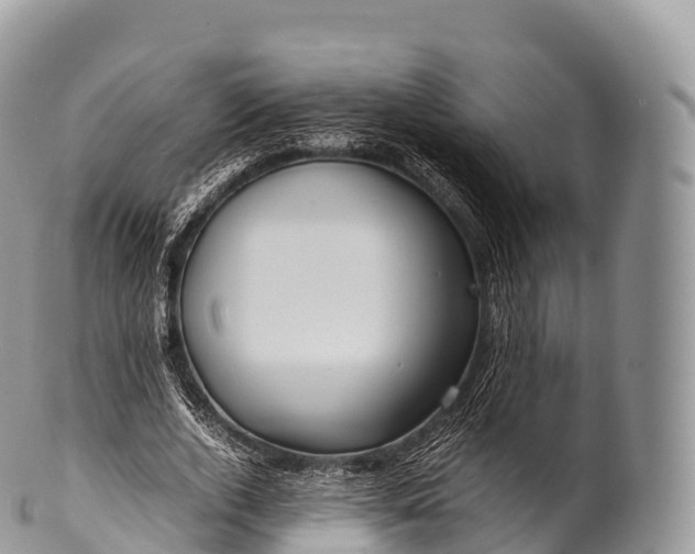 X0000100380728200806201650