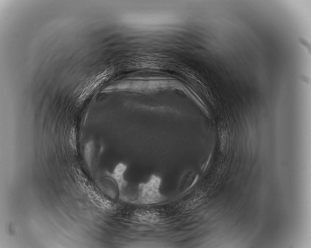 X0000100380729200806201650