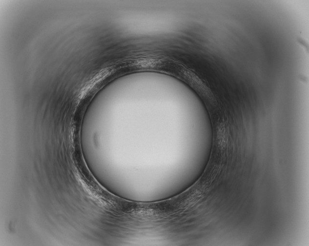 X0000100380730200806201650