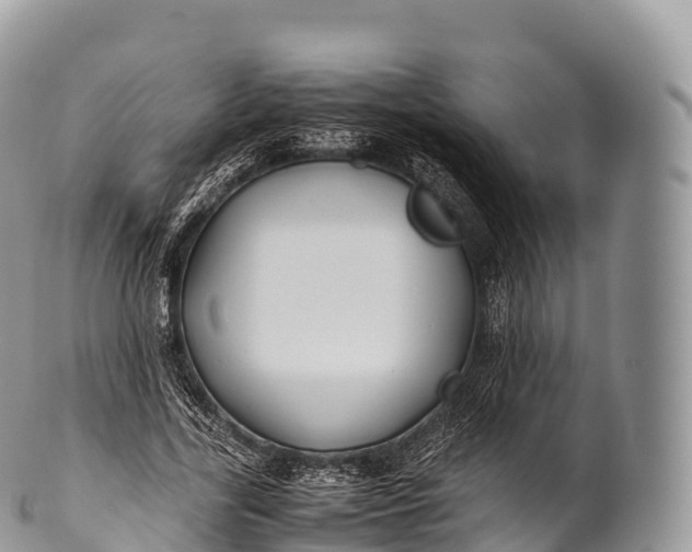 X0000100380731200806201650