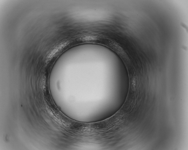 X0000100380732200806201650