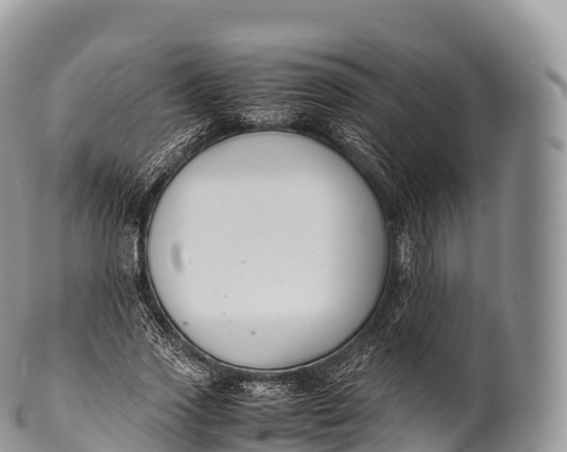 X0000100380733200806201650