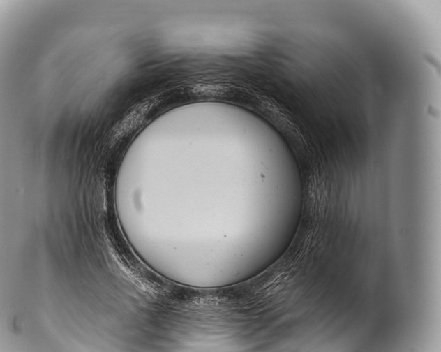 X0000100380734200806201650