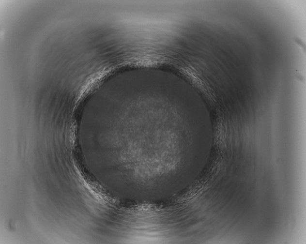 X0000100380736200806201650