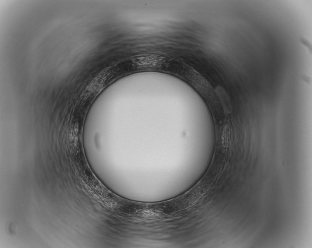 X0000100380737200806201650