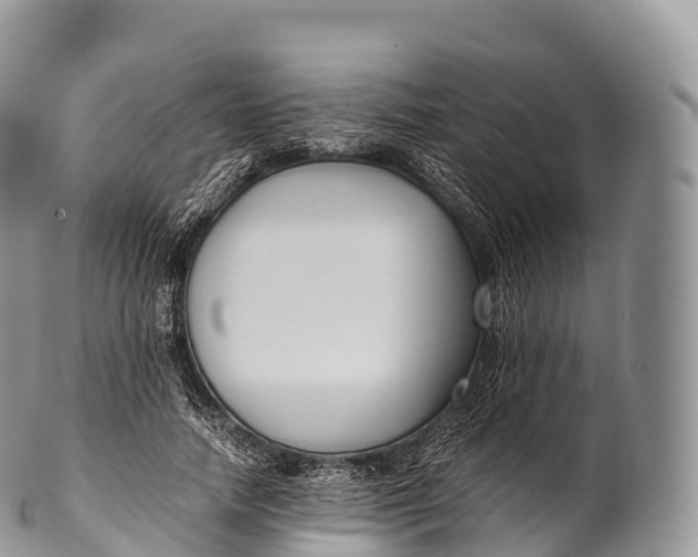 X0000100380738200806201650
