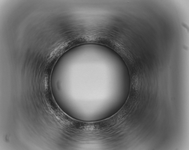 X0000100380740200806201650