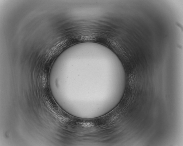 X0000100380741200806201650