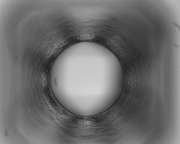 X0000100380743200806201650