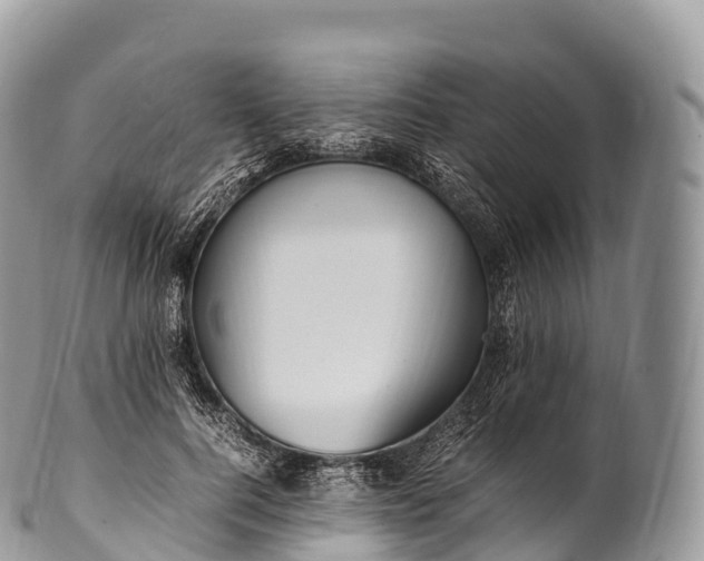 X0000100380744200806201650
