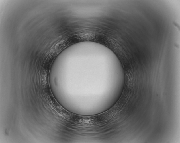 X0000100380745200806201650