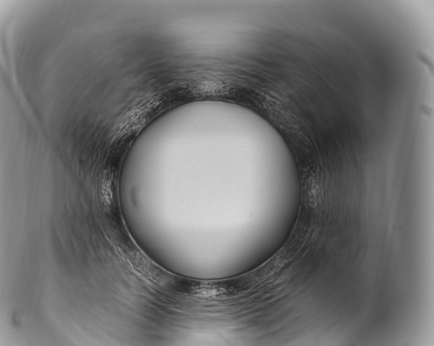 X0000100380746200806201650