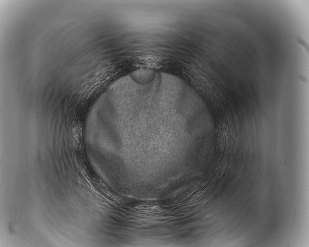 X0000100380747200806201650