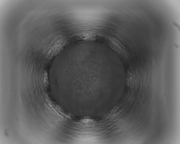 X0000100380748200806201650