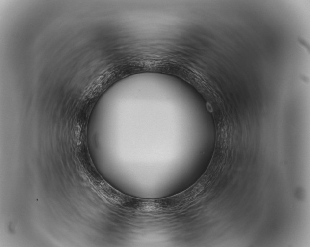 X0000100380750200806201650