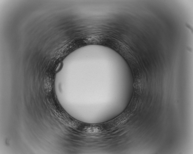 X0000100380751200806201650